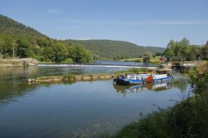 Location : LMNP ou autre chose ?